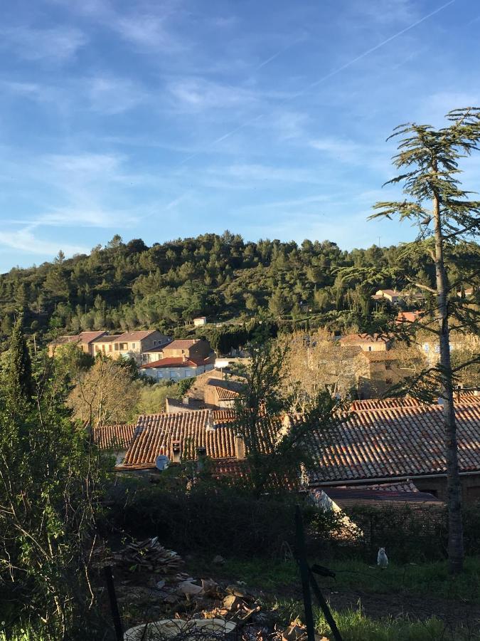 Saint-Pierre-des-Champs Chambres D Hotes Le Clos Des Vins D Anges المظهر الخارجي الصورة